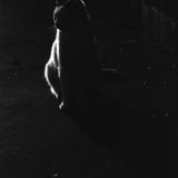 おはようねこさん