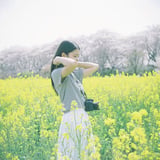 菜の花と…