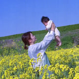 菜の花といえば