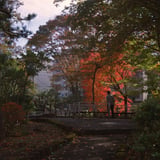 紅葉🍁狩り