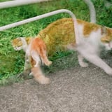 多重②