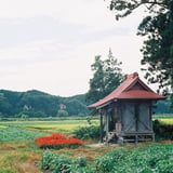 荒脛巾神社