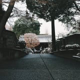 この先に………