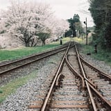 分岐器………