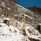 廃墟に生き続ける………