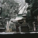 雪化粧