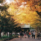 夕暮れの紅葉狩