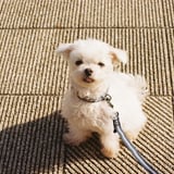 ふんわり