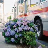 まぁるい