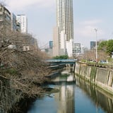 リフレクション