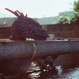 龍………手水舎