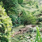 夏の入り口