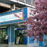 三浦海岸駅🌸