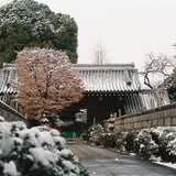 西澄寺・山門