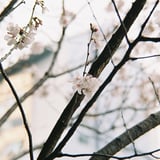一足お先に………