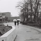 雨天