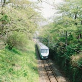 新緑🍀