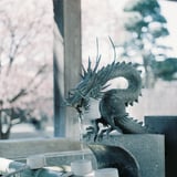 フワッとやわらかな空気感