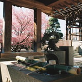 春を待つ………