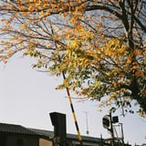 踏切で、その２