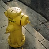 Something yellow 