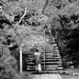 一人では生きていけないもの
