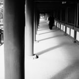 今年一年走れるか