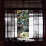 夢映画