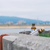ゴミ