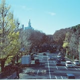 五輪歩道橋から望む代々木公園通り