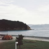 赤かぼちゃ