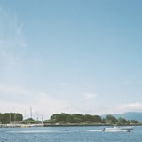 緑の島