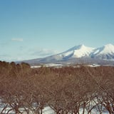 オニウシ公園から望む駒ヶ岳