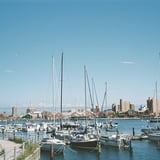 函館湾