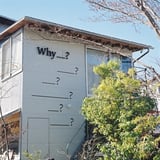 Why__?