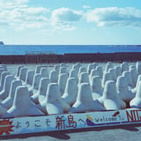 新島港