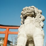 狛犬