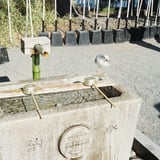 手水舎と鳥