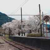 誰もいない