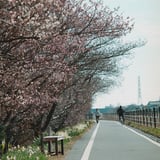 ひとやすみ