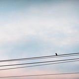 黄昏