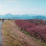 ぞろぞろ