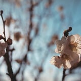 西日を背に