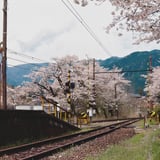 踏切、再び鳴り響くことを願って。