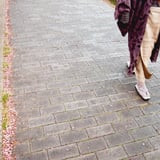 小粋