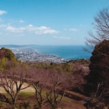 相模湾を望む