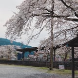 いつも見守っている