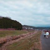 思い出になる