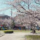 独り占め