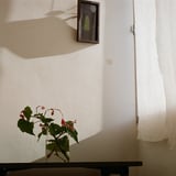 差し込む